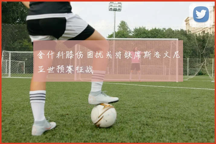 舍什科膝伤困扰或将缺席斯洛文尼亚世预赛征战