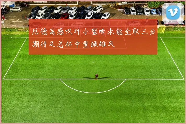 厄德高感叹对小蜜蜂未能全取三分期待足总杯中重振雄风